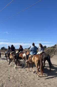 Cabalgata en las Dunas y el Mar