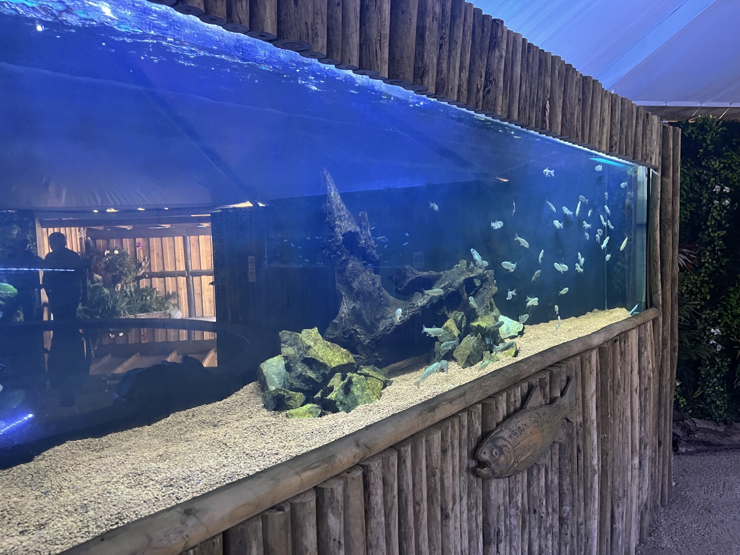 Entrada Acuario VivaMar - Imagen 2