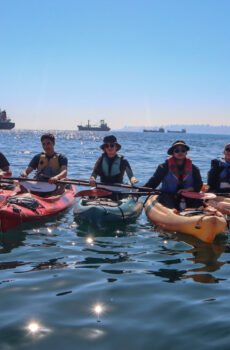 Paseo en Kayak en la bahía de Concón