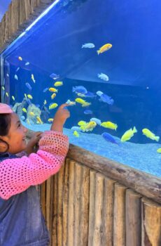 Entrada Acuario VivaMar