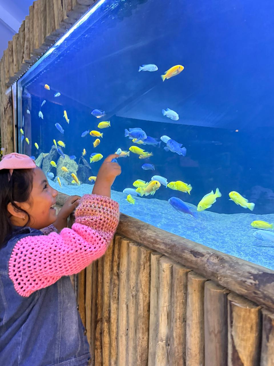 Entrada Acuario VivaMar